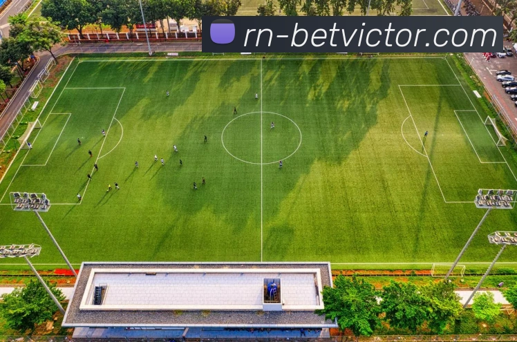 伟德官网发展历程